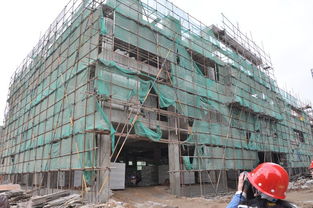 東南國際建材城2月11日施工進(jìn)度簡(jiǎn)報(bào)